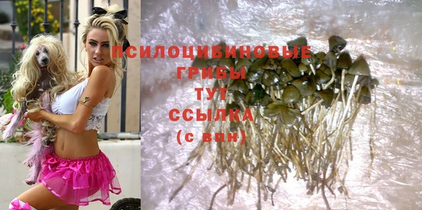 a pvp Дмитровск