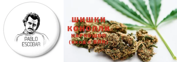 jwh Гусев
