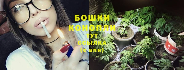 СК Гусь-Хрустальный